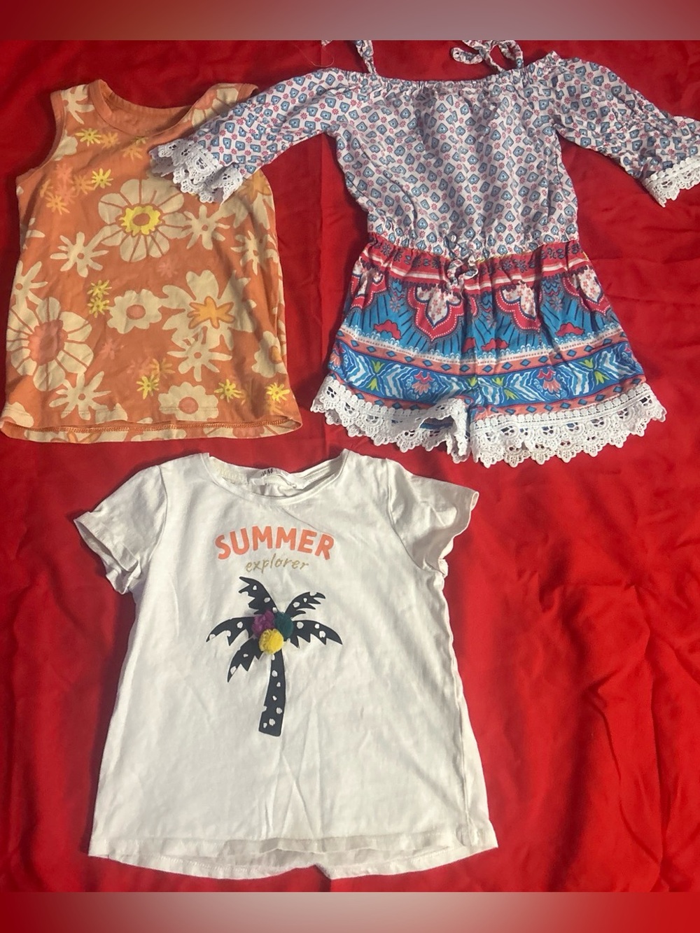 Toddler Girls Clothing Bundle